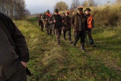 Polowanie 17.11.2019